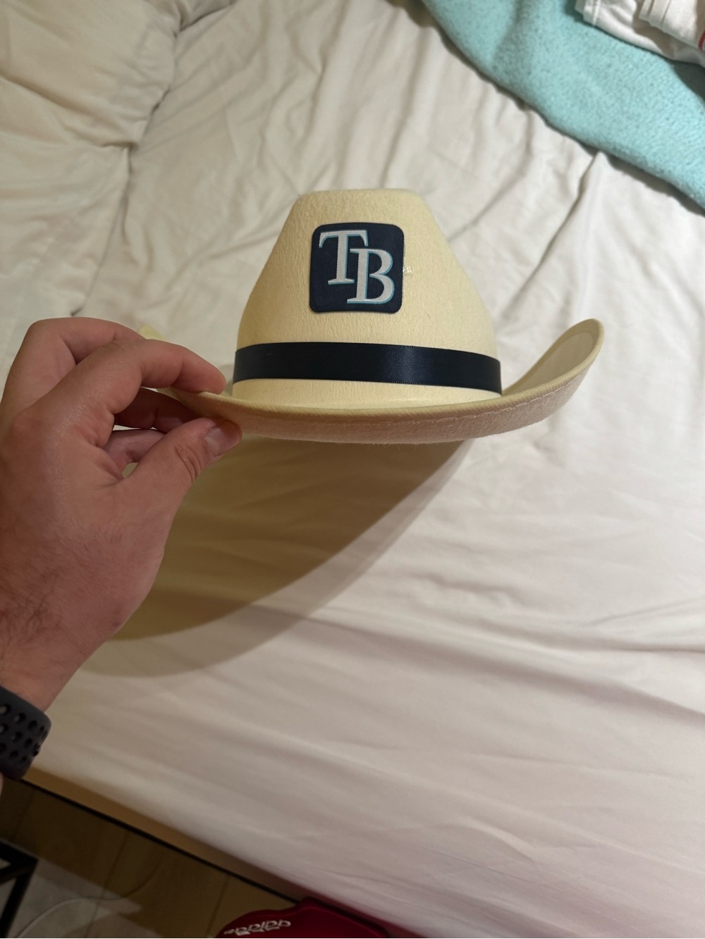 Tampa Bay Rays Cowboy Hat